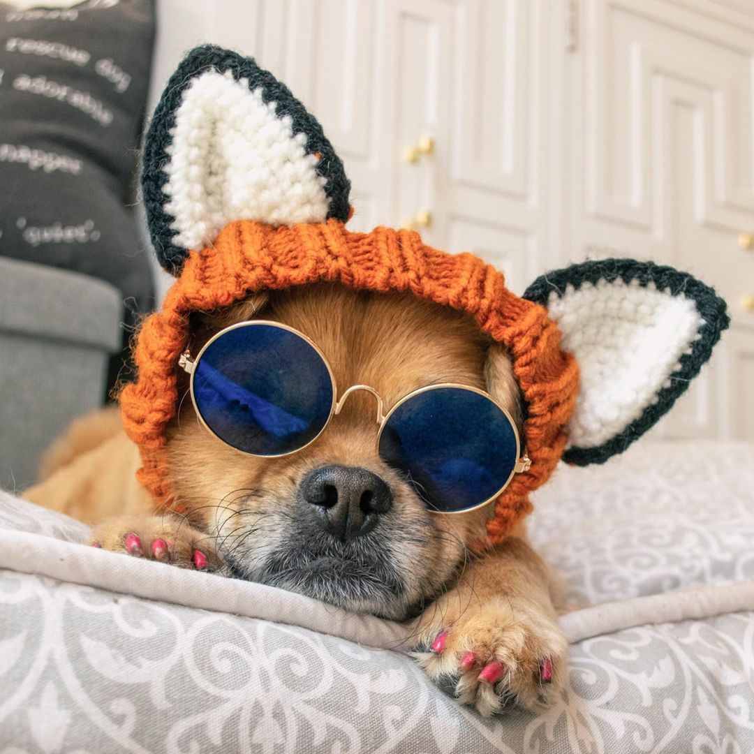 Zoo Snoods