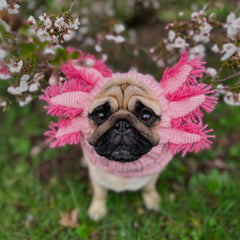 Axolotl Zoo Snood