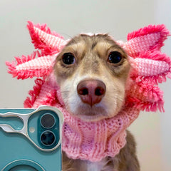 Axolotl Zoo Snood