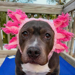 Axolotl Zoo Snood