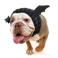 Bat dog snood, front view