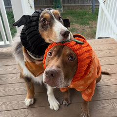 Bat Zoo Snood