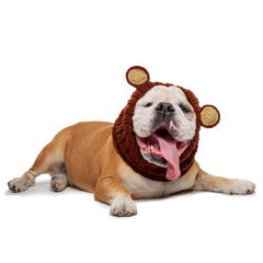 Grizzly Bear dog snood, front view