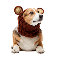 Grizzly Bear dog snood, front view