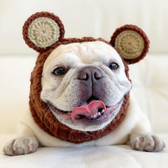Dog wearing Grizzly Bear dog snood