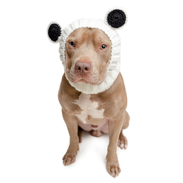 Panda Bear dog snood, front view