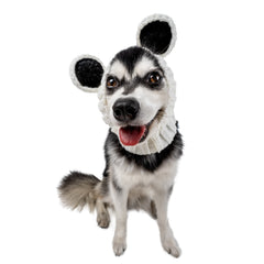 Panda Bear dog snood, front view