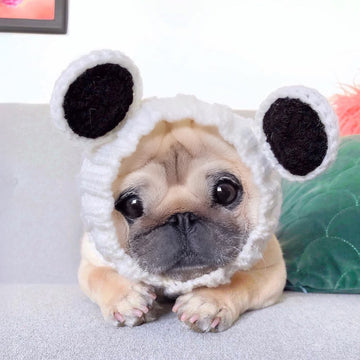 Dog wearing Panda Bear dog snood