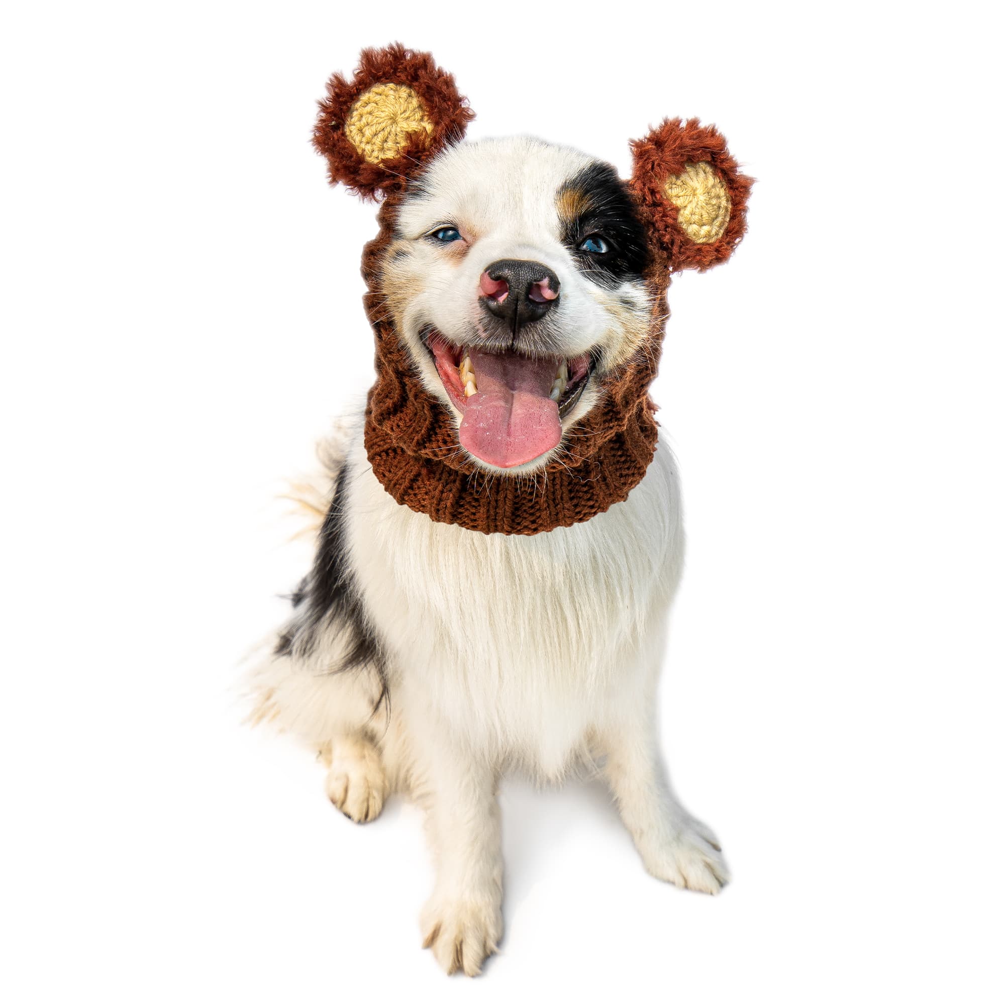 Dog wearing Fuzzy Bear dog snood