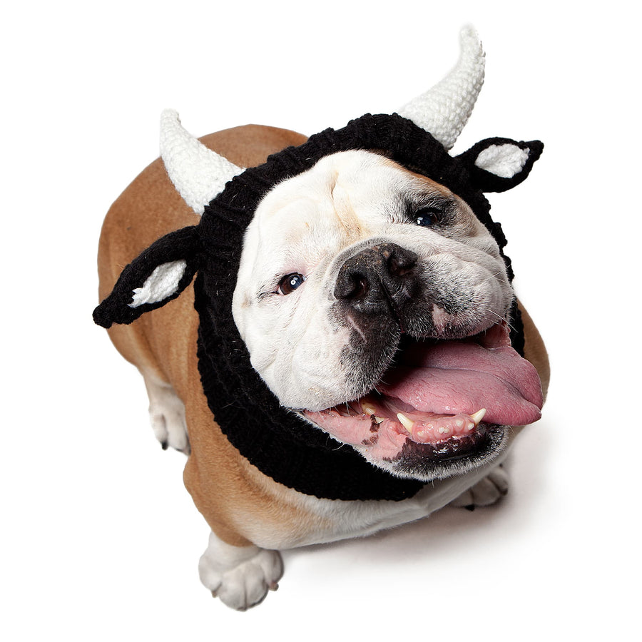 Bull dog snood, front view