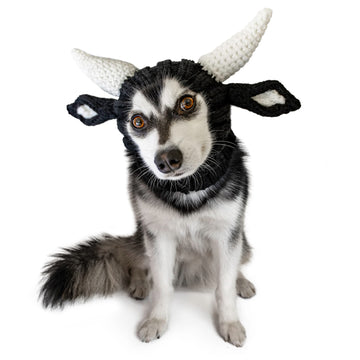 Bull dog snood, front view