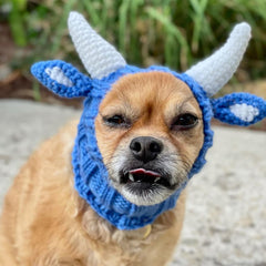 Dog wearing Blue Ox dog snood