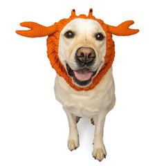 Crab dog snood, front view