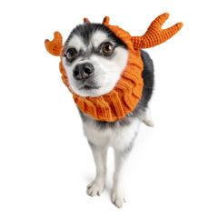 Crab dog snood, front view