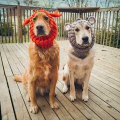 Dog wearing Crab dog snood