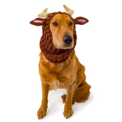 Reindeer dog snood, front view