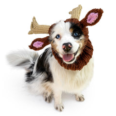 Reindeer dog snood, front view