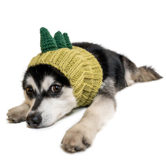 Dinosaur dog snood, front view