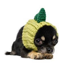 Dinosaur Zoo Snood