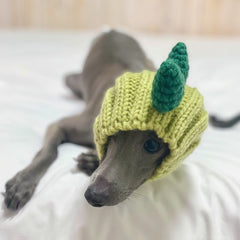 Dog wearing Dinosaur dog snood