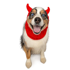 Devil dog snood, front view