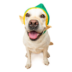 Elf dog snood, front view