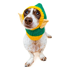 Elf dog snood, front view