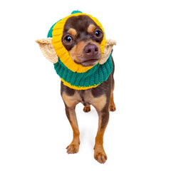Elf dog snood, front view
