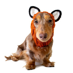 Fox dog snood, front view