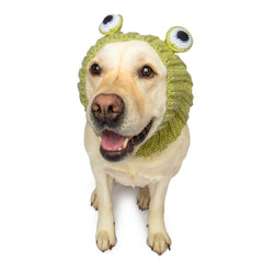 Frog dog snood, front view