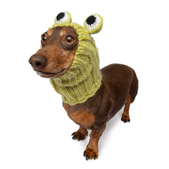 Frog dog snood, front view