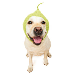 Christmas Grouch dog snood, front view