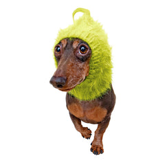 Christmas Grouch dog snood, front view