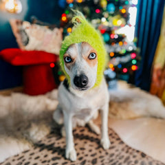 Christmas "Grouch" Zoo Snood