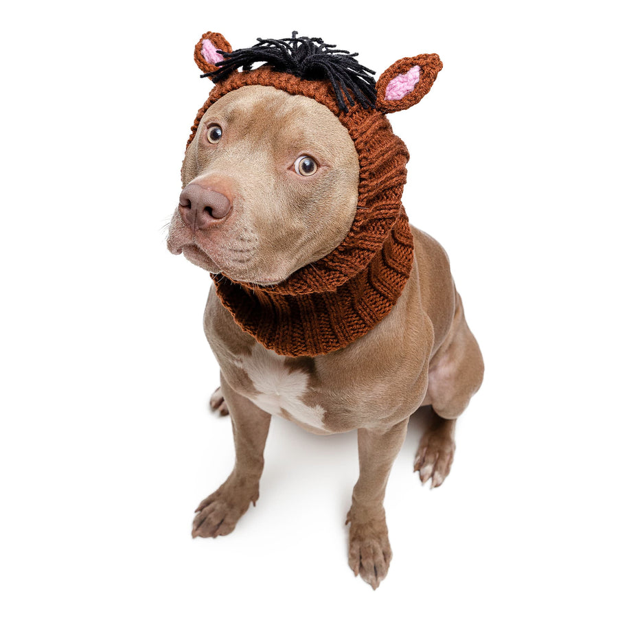 Horse dog snood, front view