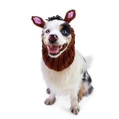 Horse dog snood, front view