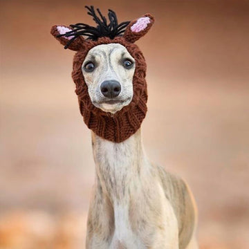Dog wearing Horse dog snood