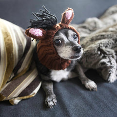 Dog wearing Horse dog snood