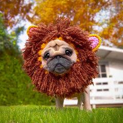 Dog wearing Lion dog snood
