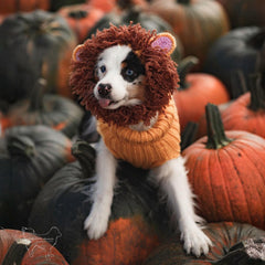 Dog wearing Lion dog snood