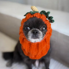 Pumpkin Zoo Snood