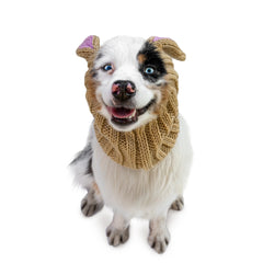 Jack Rabbit dog snood, front view