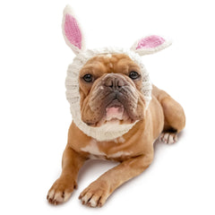 Bunny Rabbit dog snood, front view