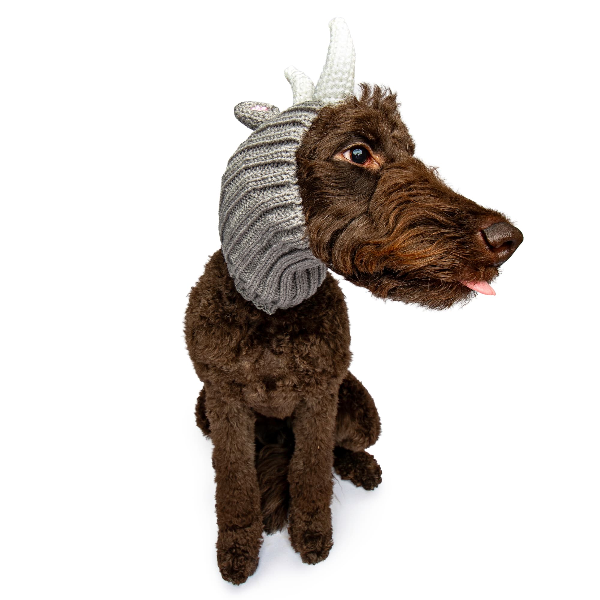 Rhino dog snood, front view