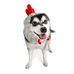 White Rooster dog snood, front view