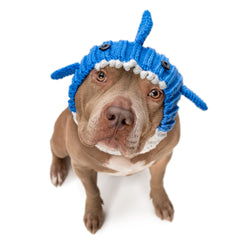 Baby Shark dog snood, front view