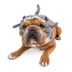 Great White Shark dog snood, front view