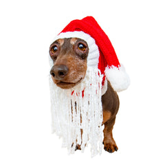 Santa dog snood with beard, front view