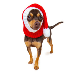 Santa dog snood, front view