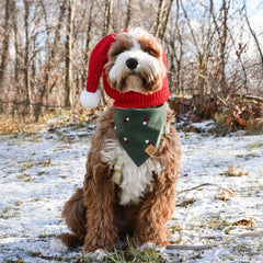 Santa Zoo Snood